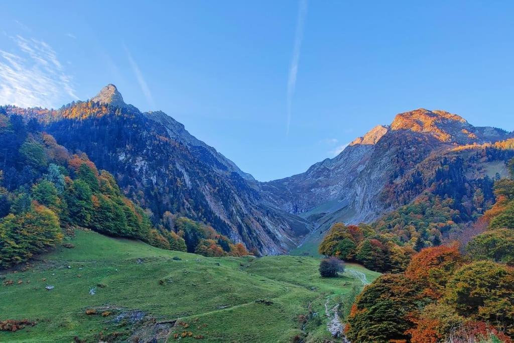 Logement 6 Pers Au Coeur Des Montagnes Pyreneennes Linge De Maison Et Papier Toilette Non Fournis Boutx Экстерьер фото