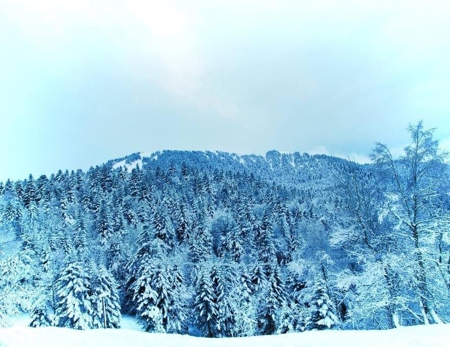 Logement 6 Pers Au Coeur Des Montagnes Pyreneennes Linge De Maison Et Papier Toilette Non Fournis Boutx Экстерьер фото