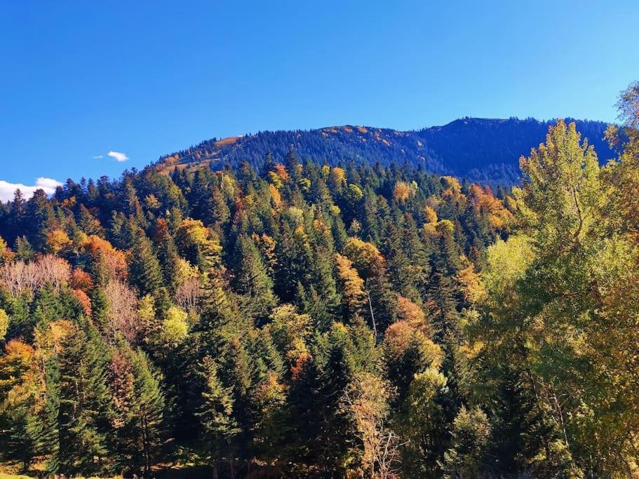 Logement 6 Pers Au Coeur Des Montagnes Pyreneennes Linge De Maison Et Papier Toilette Non Fournis Boutx Экстерьер фото