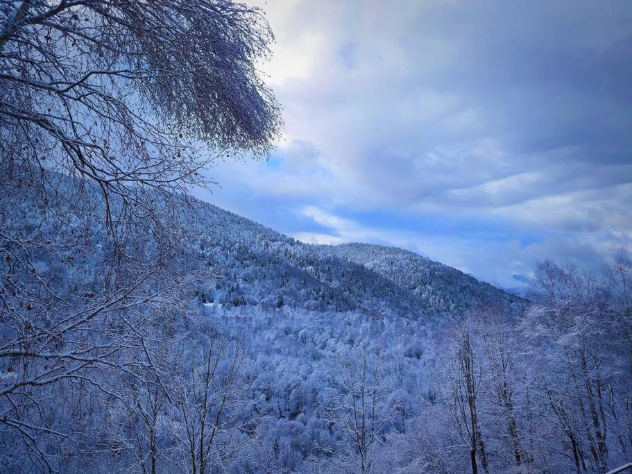 Logement 6 Pers Au Coeur Des Montagnes Pyreneennes Linge De Maison Et Papier Toilette Non Fournis Boutx Экстерьер фото